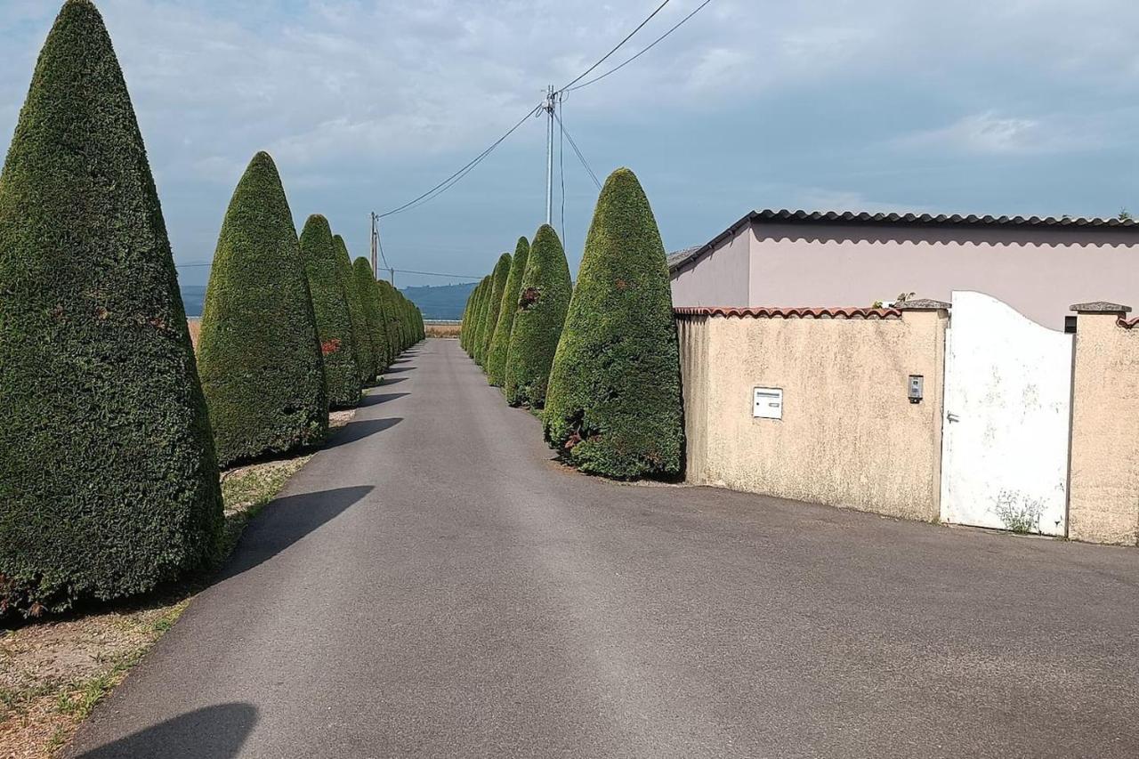 Charmante Maison Avec Piscine Anneyron Bagian luar foto