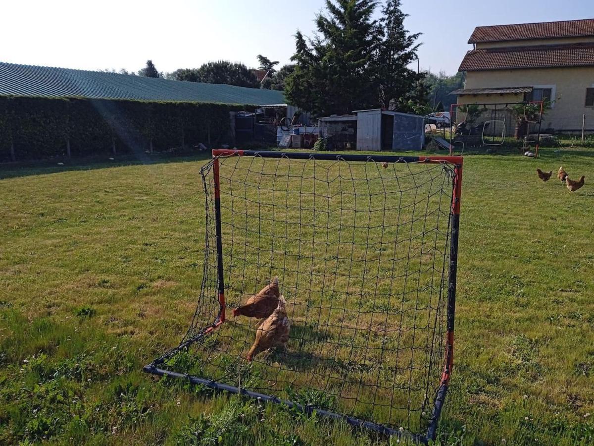 Charmante Maison Avec Piscine Anneyron Bagian luar foto