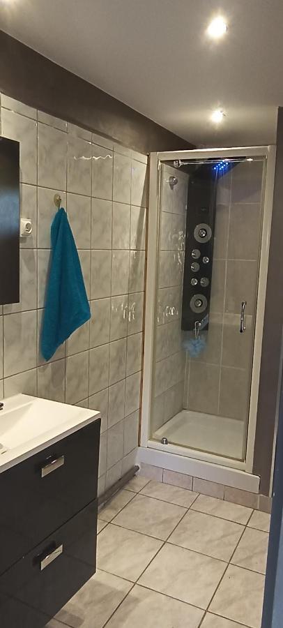 Charmante Maison Avec Piscine Anneyron Bagian luar foto